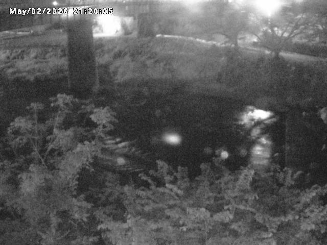 日野川１０2026/05/02 23:30:00