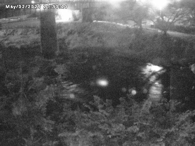 日野川１０2026/05/02 23:30:00