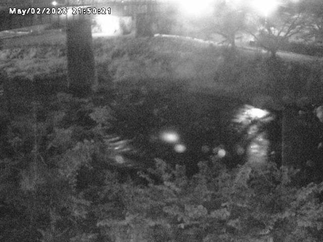 日野川１０2026/05/02 23:30:00