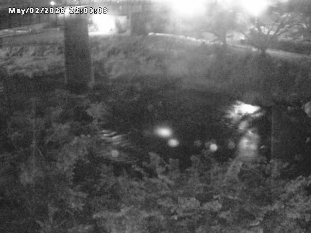 日野川１０2026/05/02 23:30:00