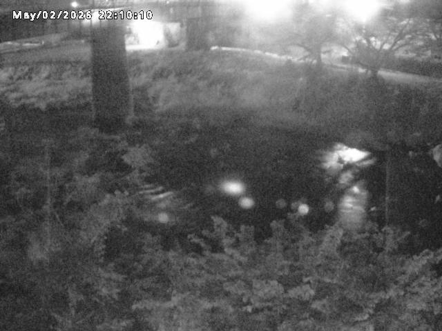日野川１０2026/05/02 23:30:00