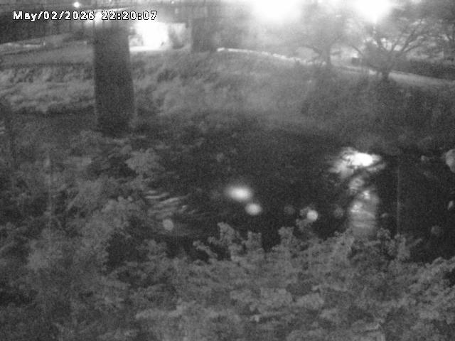 日野川１０2026/05/02 23:30:00