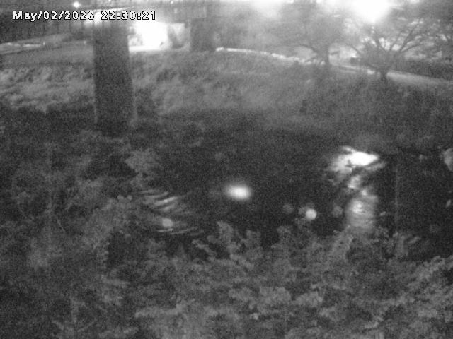 日野川１０2026/05/02 23:30:00