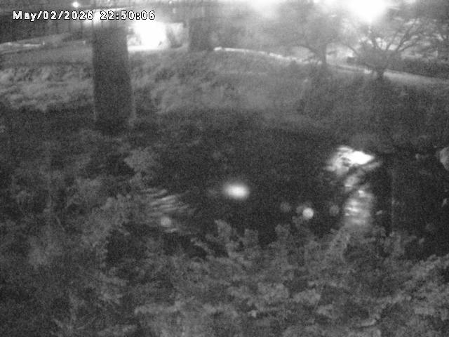 日野川１０2026/05/02 23:30:00