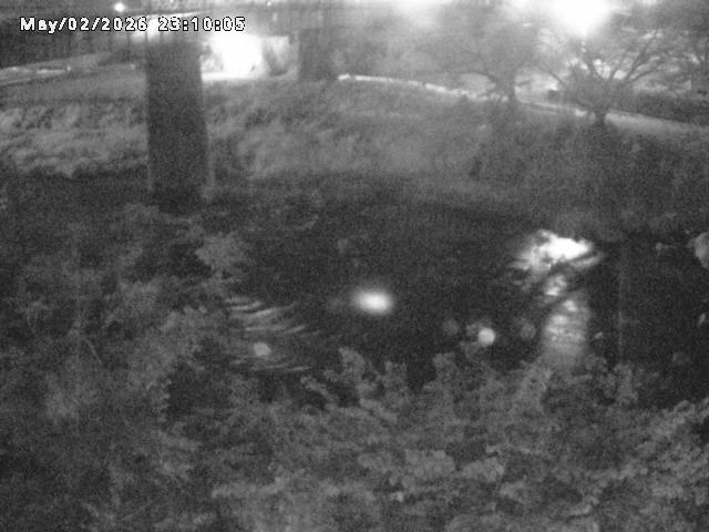 日野川１０2026/05/02 23:30:00