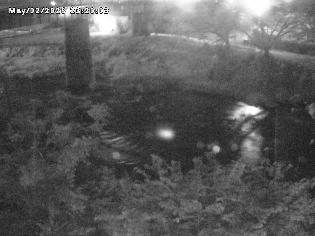 日野川１０2026/05/02 23:30:00