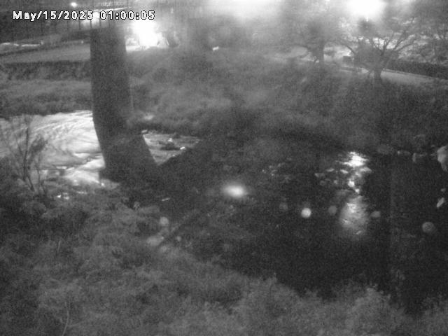 日野川１０2025/05/15 18:00:00