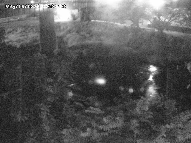 日野川１０2026/05/17 0:30:00