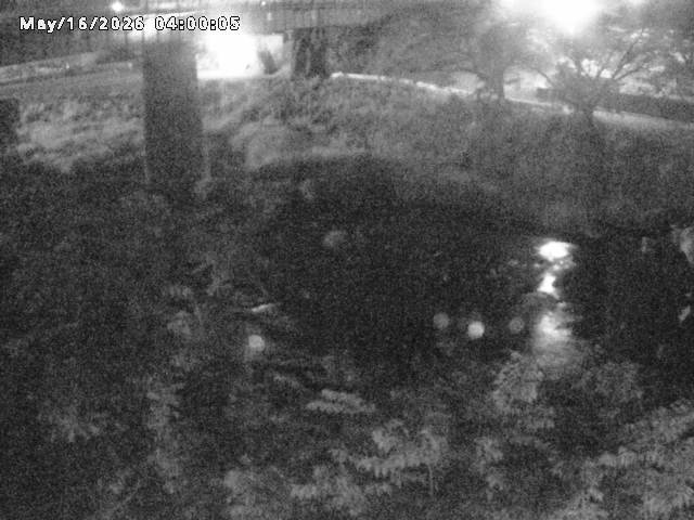 日野川１０2026/05/17 0:30:00