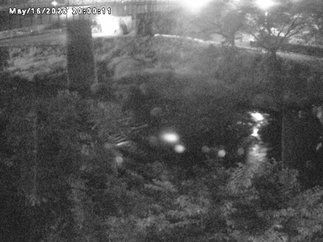 日野川１０2026/05/17 0:30:00