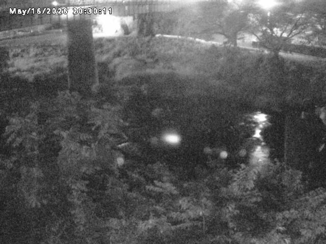 日野川１０2026/05/17 0:30:00