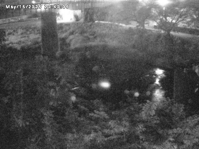 日野川１０2026/05/17 0:30:00