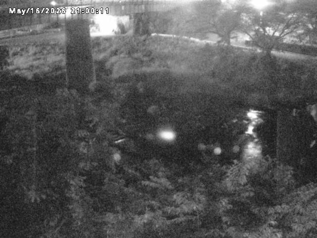 日野川１０2026/05/17 0:30:00