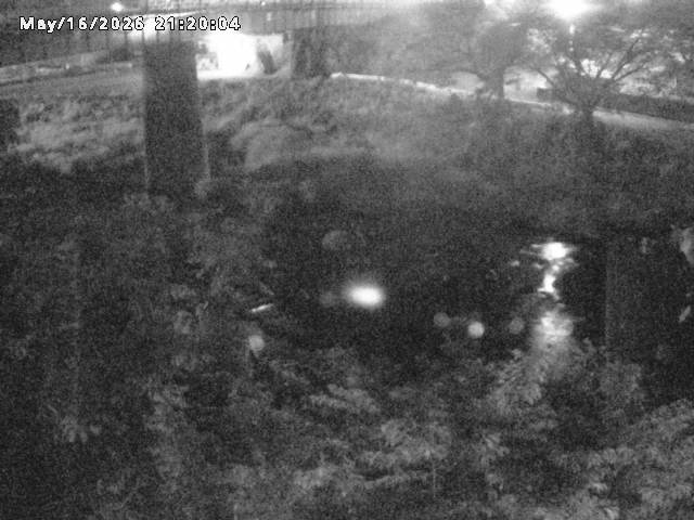 日野川１０2026/05/17 0:30:00