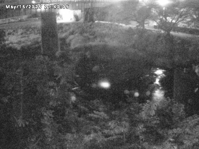 日野川１０2026/05/17 0:30:00