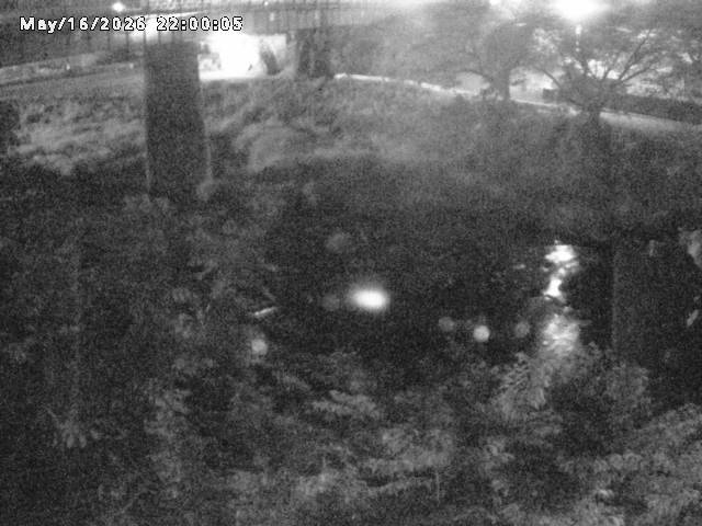 日野川１０2026/05/17 0:30:00