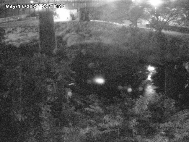 日野川１０2026/05/17 0:30:00