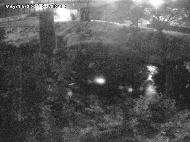 日野川１０2026/05/17 0:30:00