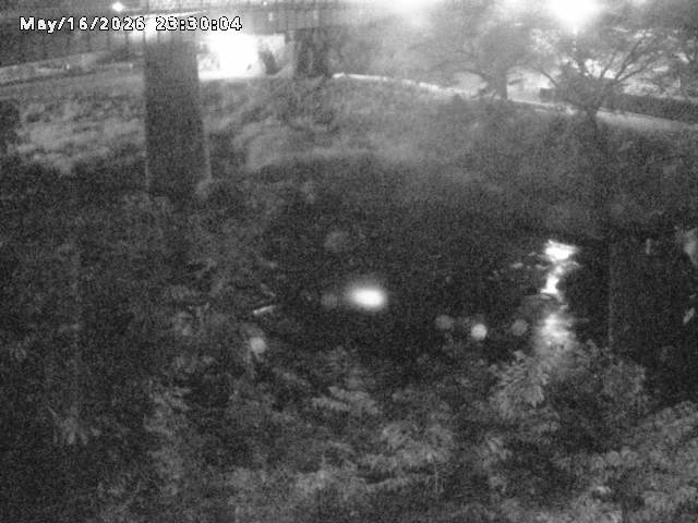 日野川１０2026/05/17 0:30:00