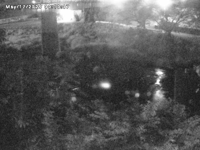日野川１０2026/05/17 0:30:00
