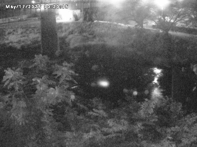 日野川１０2026/05/17 0:30:00