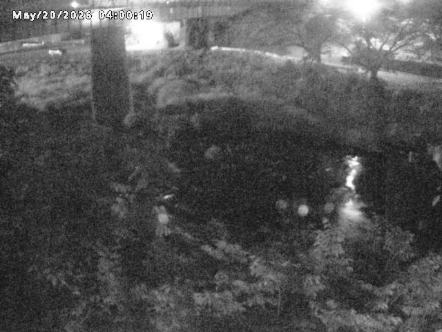 日野川１０2026/05/21 4:10:00