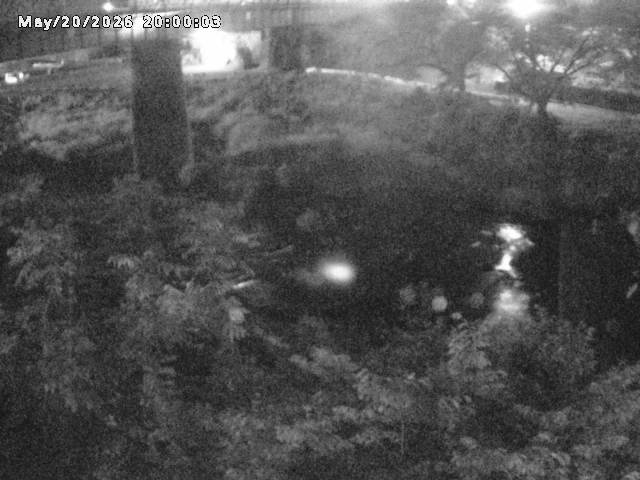 日野川１０2026/05/21 4:10:00