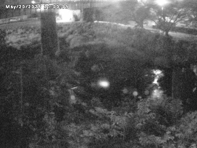 日野川１０2026/05/21 4:10:00