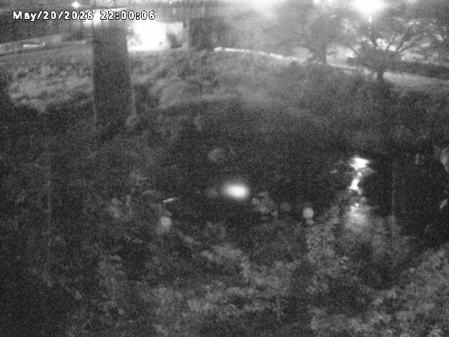 日野川１０2026/05/21 4:10:00