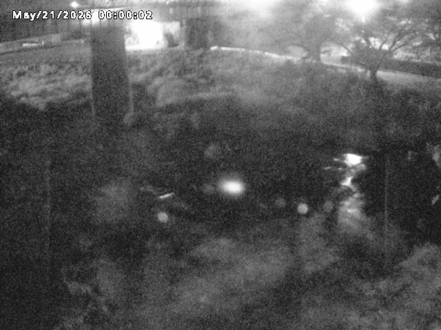 日野川１０2026/05/21 4:10:00