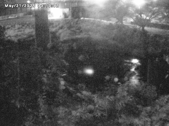 日野川１０2026/05/21 4:10:00