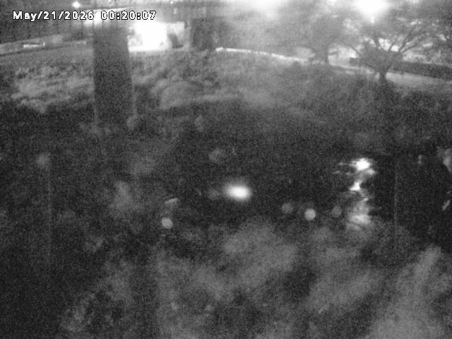 日野川１０2026/05/21 4:10:00