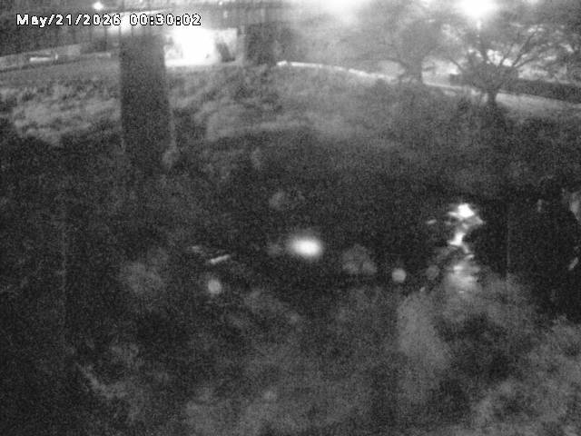 日野川１０2026/05/21 4:10:00
