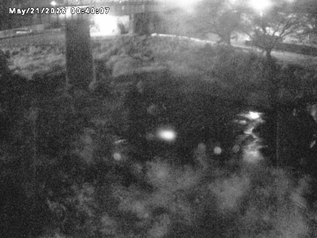 日野川１０2026/05/21 4:10:00