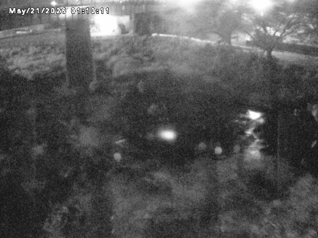 日野川１０2026/05/21 4:10:00