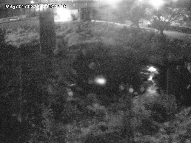 日野川１０2026/05/21 4:10:00