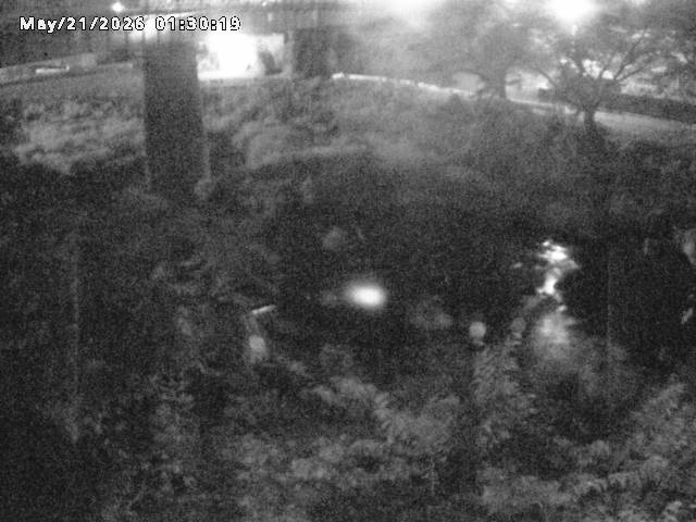 日野川１０2026/05/21 4:10:00