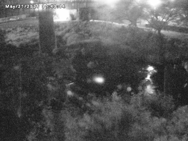 日野川１０2026/05/21 4:10:00