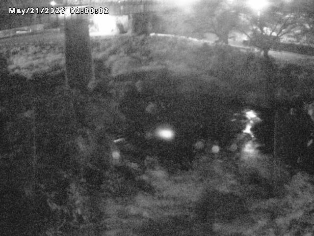 日野川１０2026/05/21 4:10:00