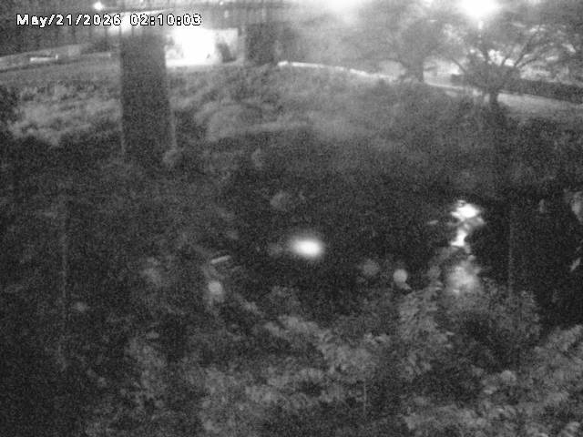 日野川１０2026/05/21 4:10:00