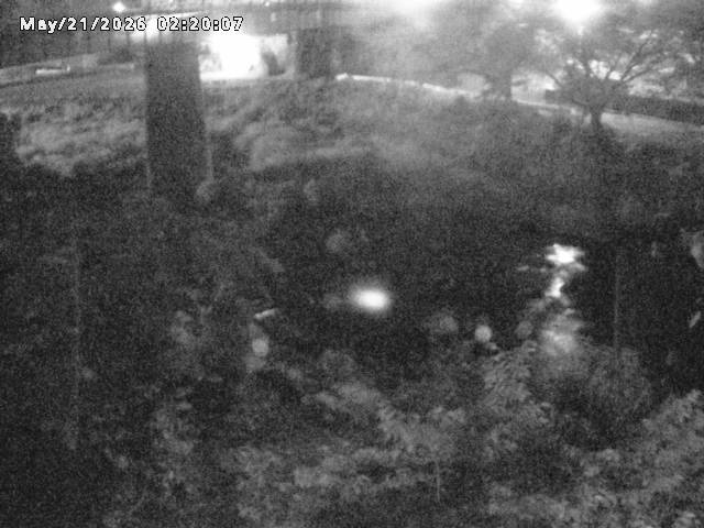 日野川１０2026/05/21 4:10:00