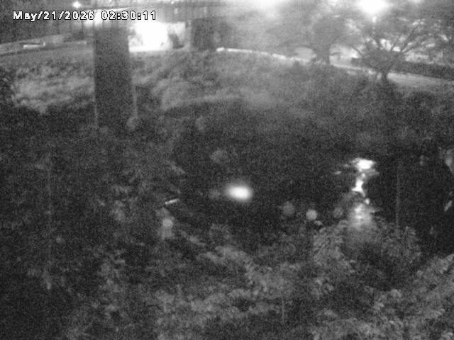 日野川１０2026/05/21 4:10:00