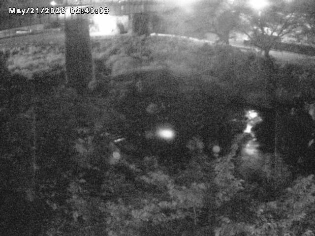 日野川１０2026/05/21 4:10:00