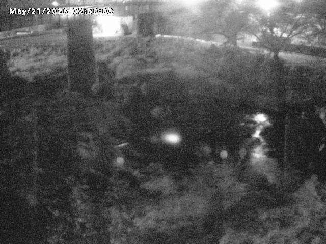日野川１０2026/05/21 4:10:00