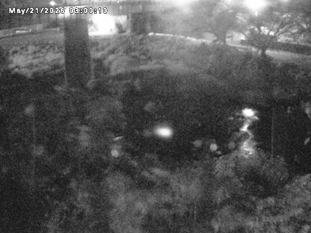 日野川１０2026/05/21 4:10:00