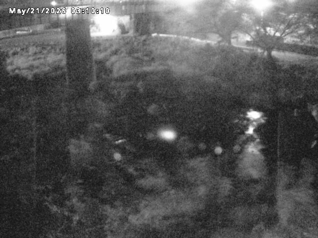 日野川１０2026/05/21 4:10:00