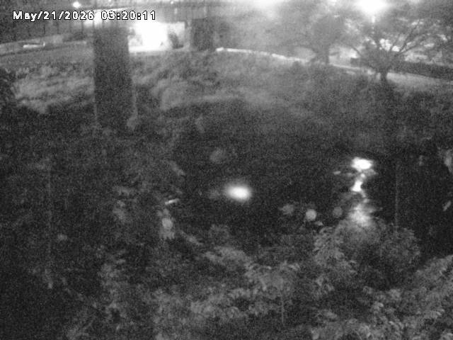 日野川１０2026/05/21 4:10:00