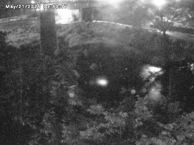 日野川１０2026/05/21 4:10:00
