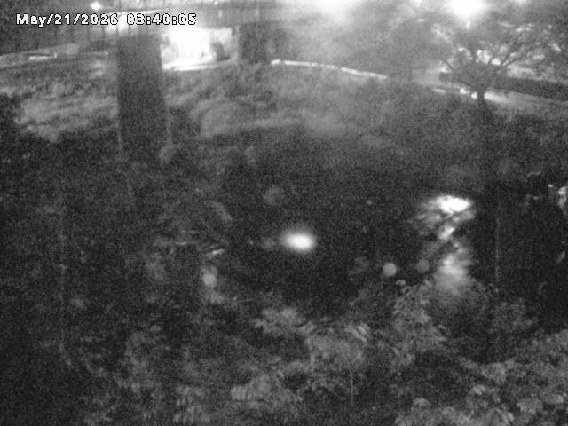 日野川１０2026/05/21 4:10:00