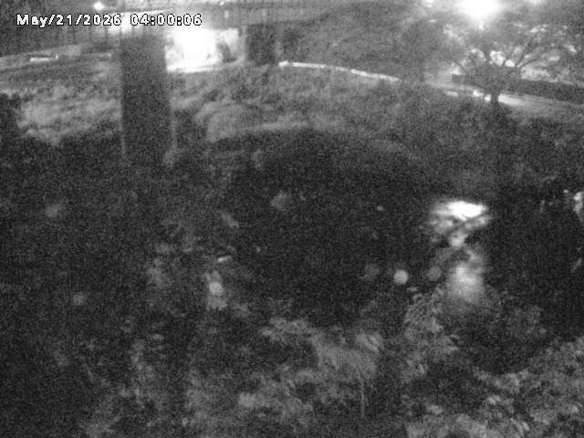日野川１０2026/05/21 4:10:00